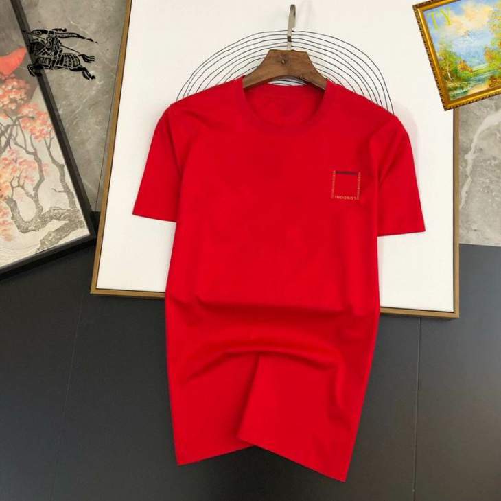 Picture of Burberry T Shirts Short _SKUBurberryS-4XL25tn1719716